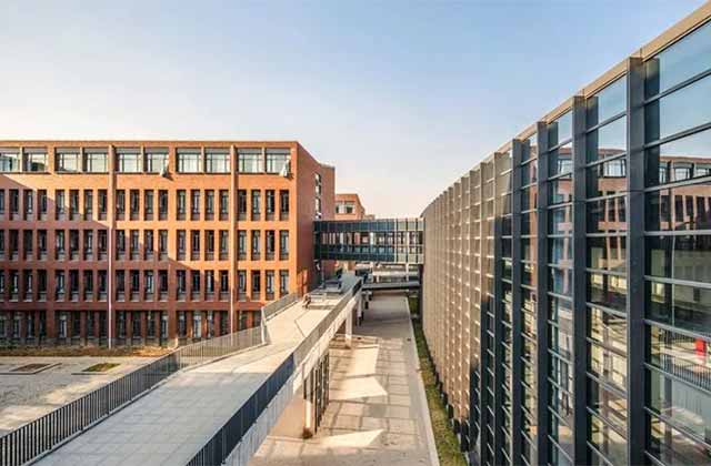 ?一句話總結雙一流大學和專業特色